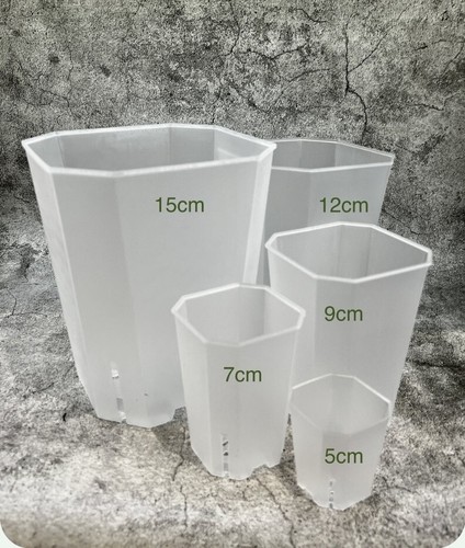 Clear tower aroid plant pots - plant,