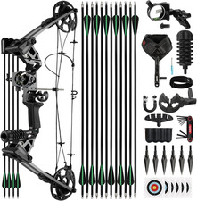 Compound Bow and Arrow Set