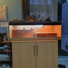 Viveoxtic Bearded Dragon Vivarium Starter Kit