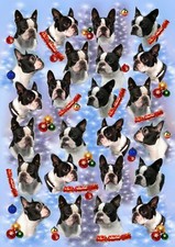 Boston Terrier Dog Christmas