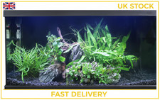 l Aquarium 60Cm Tropical