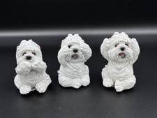 Three Wise Westies See Hear