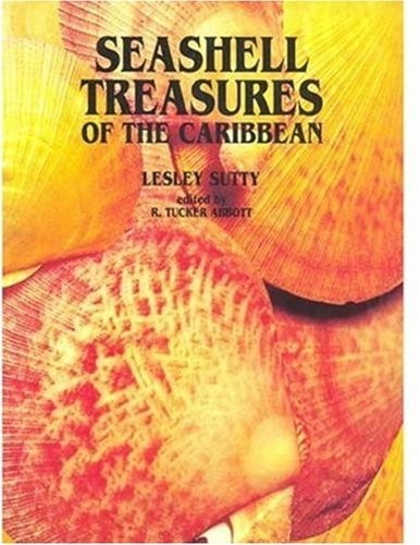 Seashell treasures carib - treasures,