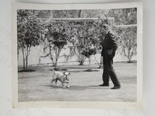 Charles Peter Hope Bulldog