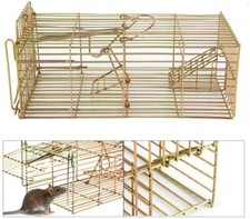 Rat trap squirrel - rat, heavy