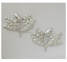 South Nottinghamshire Hussars