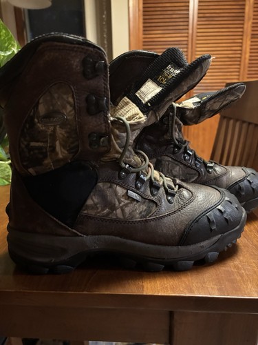 Red wing irish - wing, setter
