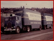 White Freightliner Trucks NEW