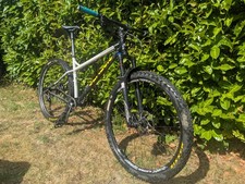 Genesis Tarn 29er Large
