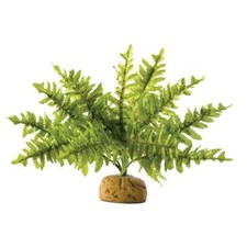 Exo Terra Boston Ferns Reptile Vivarium Decor Plant