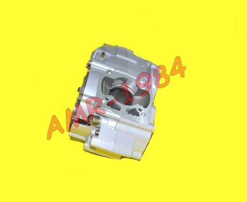 Pair engine cases - engine, rotax