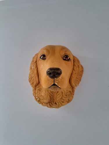Labrador golden retriever - labrador,
