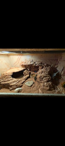 Custom terrarium builds - custom,