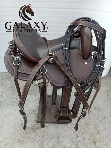 Western endurance horse - western,