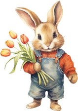 Colour Vintage Peter Rabbit