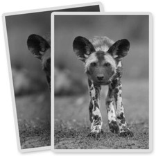 2 x Vinyl Stickers 7x10cm - BW