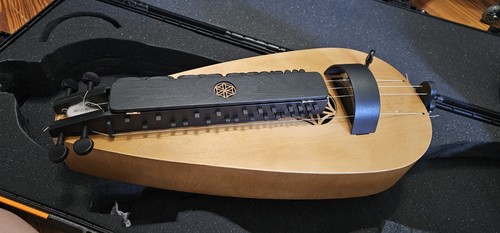 Tear shaped hurdy gurdy - tear,