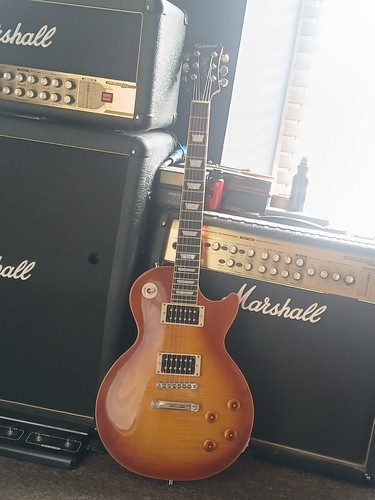 Epiphone les paul - paul, pro