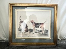 Original pencil tonal dog