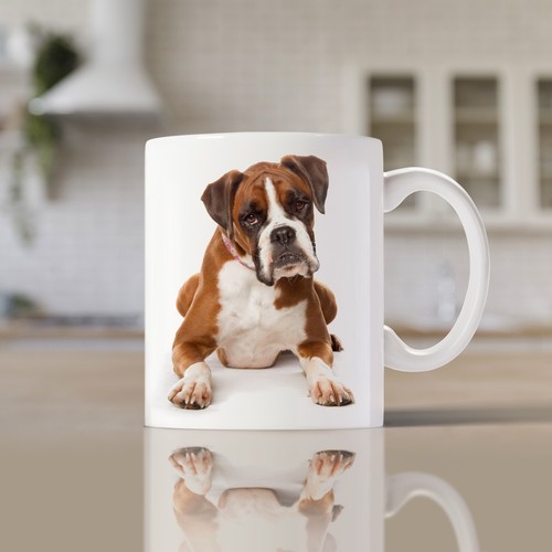 Boxer lying down dog - dog, mug