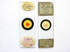 2 Antique Microscope  Slides