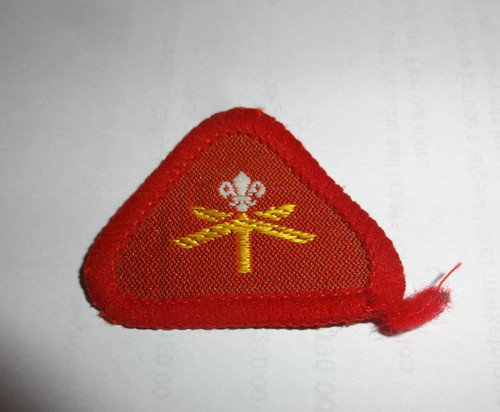Cub scout proficiency - scout, proficiency/activity