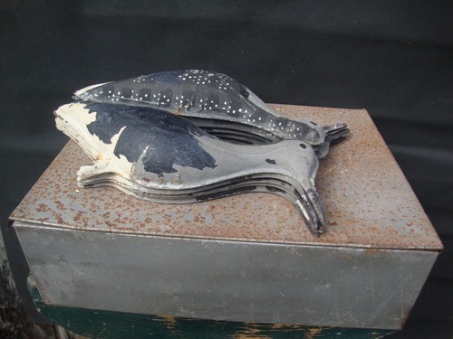 Antique tinnie shorebird - tinnie,