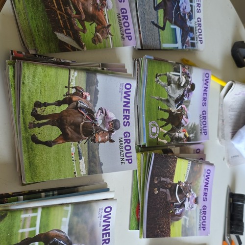 Owners group horse racing - horse,