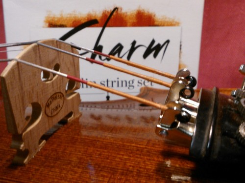 Spr for tune charm cello - for-tune, 'charm'
