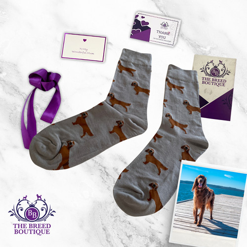 Irish setter socks unisex - setter, one