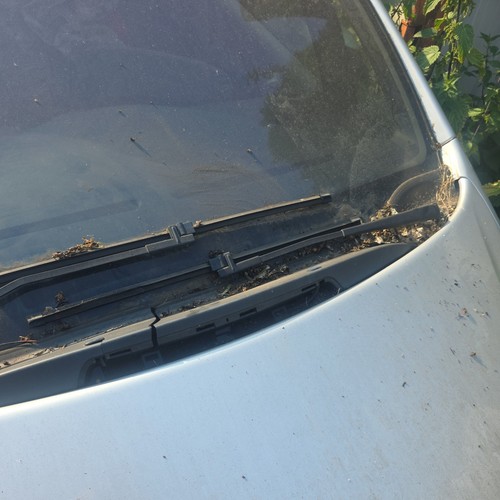 Citroen xsara picasso - citroen,