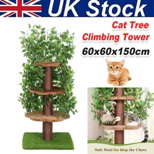 Multilevel Cat Tree Scratching