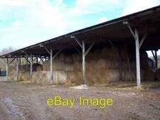 Photo 6x4 Pole Barn at Staple