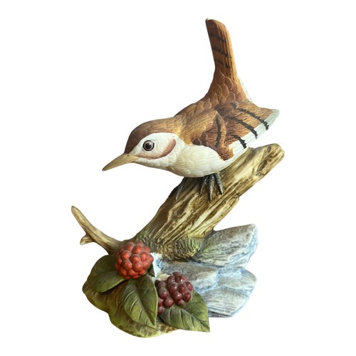 Carolina wren bird - bird, perched