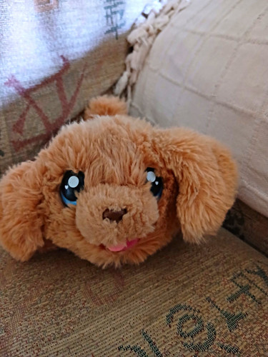 Little live pets plush puppy - live,