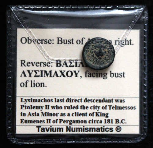 Rare lion king lysimachos - rare,