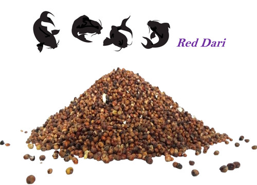 Red dari a - dari, milo)