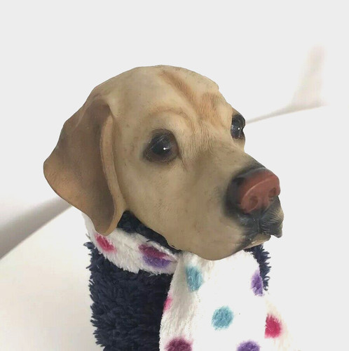 Vintage golden labrador - labrador, bust