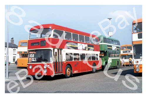 Bus photograph north - photograph,