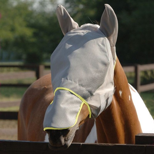 Equilibrium products horse - equilibrium,