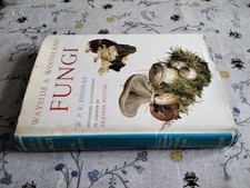 Wayside & Woodland Fungi