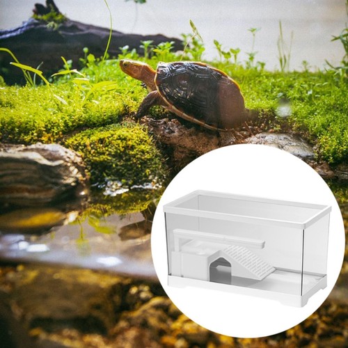 Turtle tank tortoise - turtle,