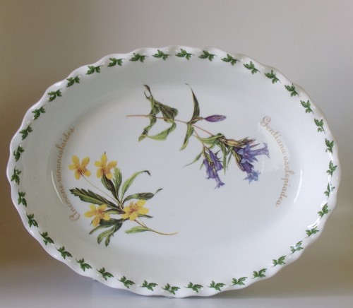 Regal bone china - china, collection