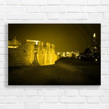 Tower Bridge London Poppies By