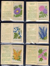 KENSITAS SILK FLOWERS - 1st SERIES SMALL SIZE (PRINTED BACKS) - FULL SET OF 60