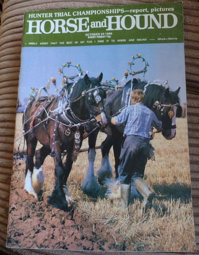 Horse and hound magazine - hound,