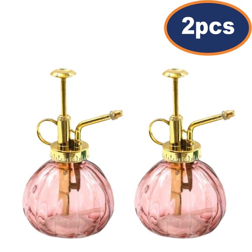 2pcs pink plant - plant, mister