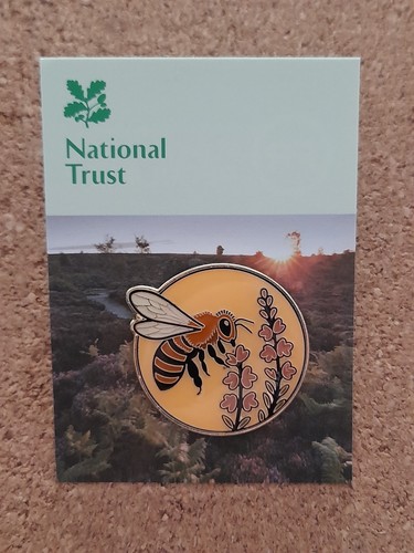 National trust brimham rocks - brimham,
