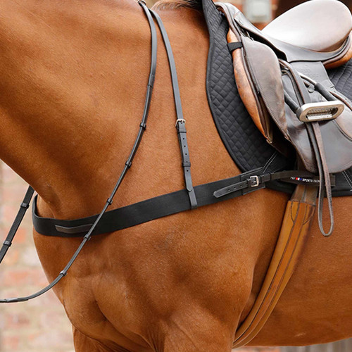 Premier equine zimella elastic - zimella,