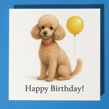 Toy Poodle dog - Happy